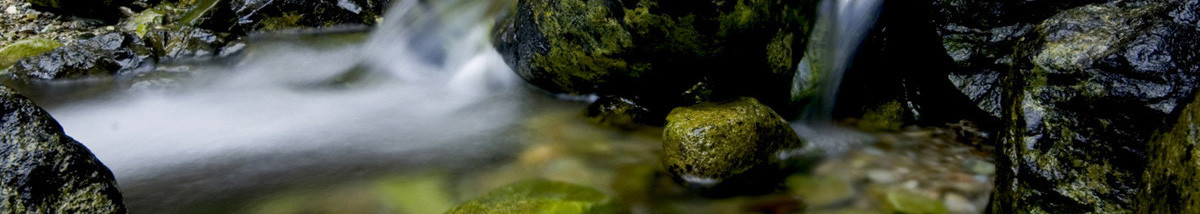 Kar Morgan Physiotherapy Brackendale